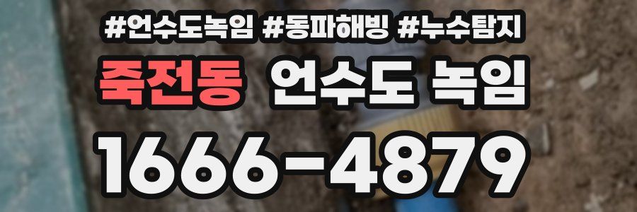 죽전동 언수도 녹임