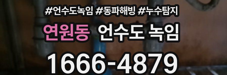 연원동 언수도 녹임