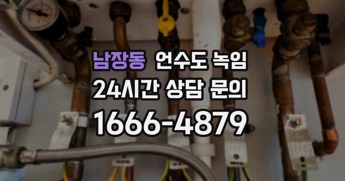 남장동 언수도 녹임