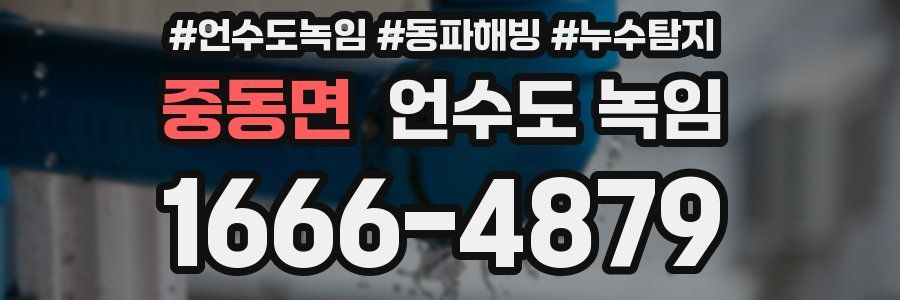 중동면 언수도 녹임