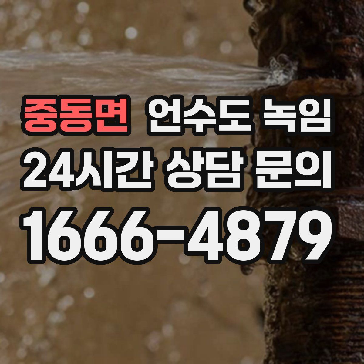 중동면 언수도 녹임