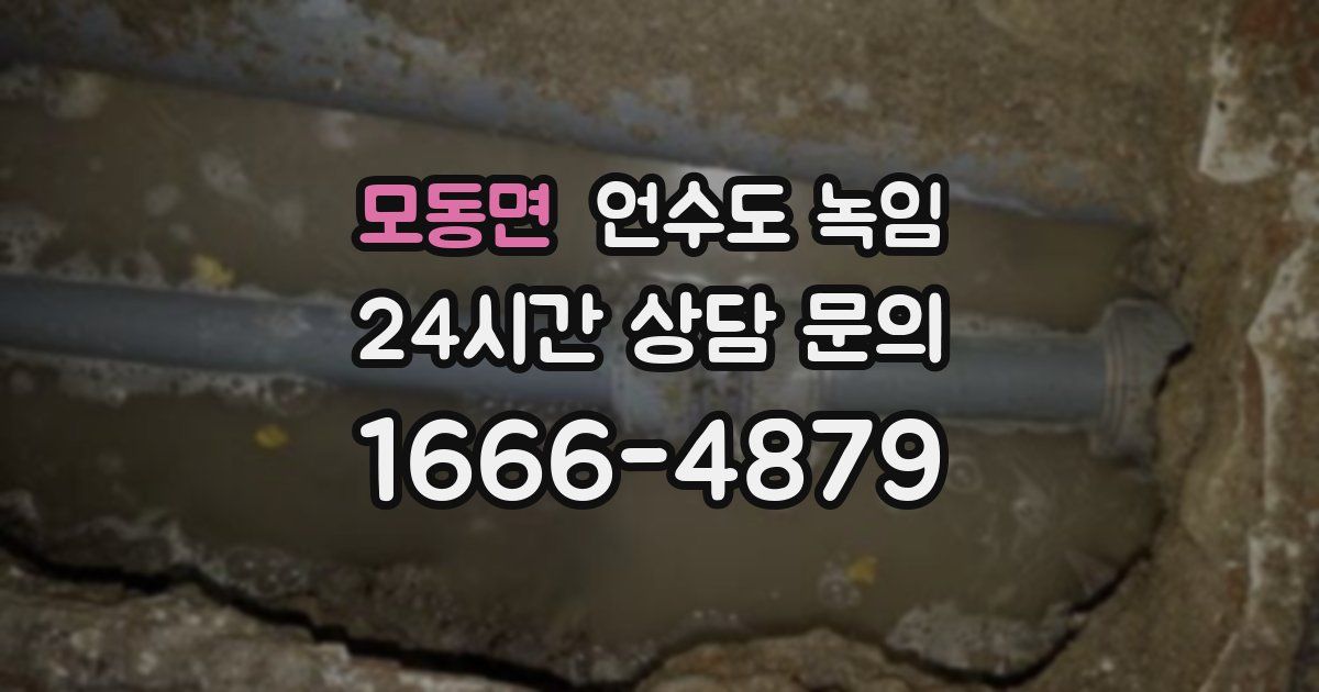 모동면 언수도 녹임