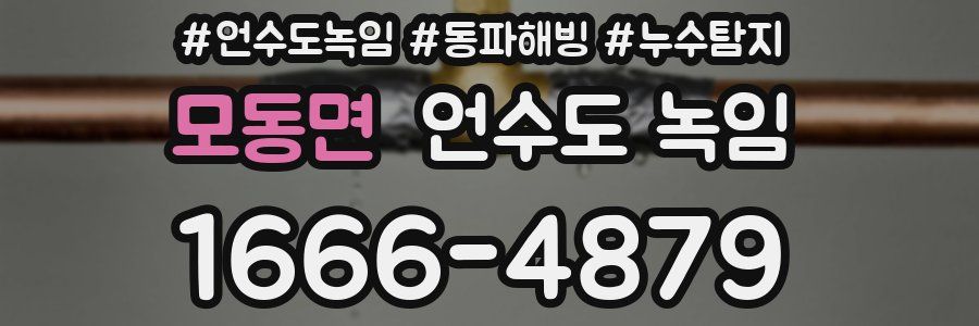 모동면 언수도 녹임