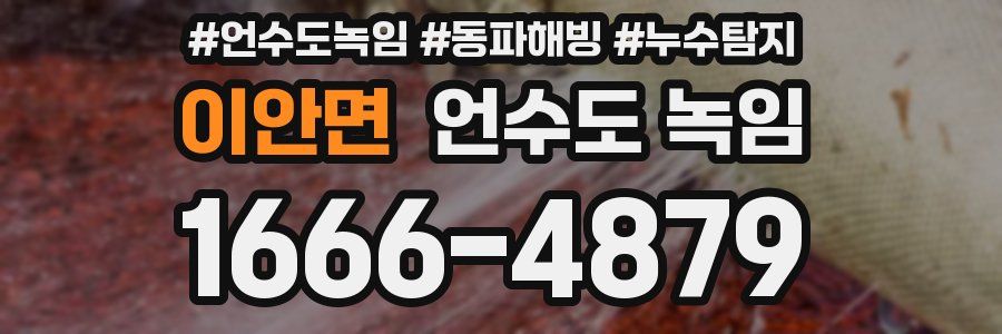 이안면 언수도 녹임