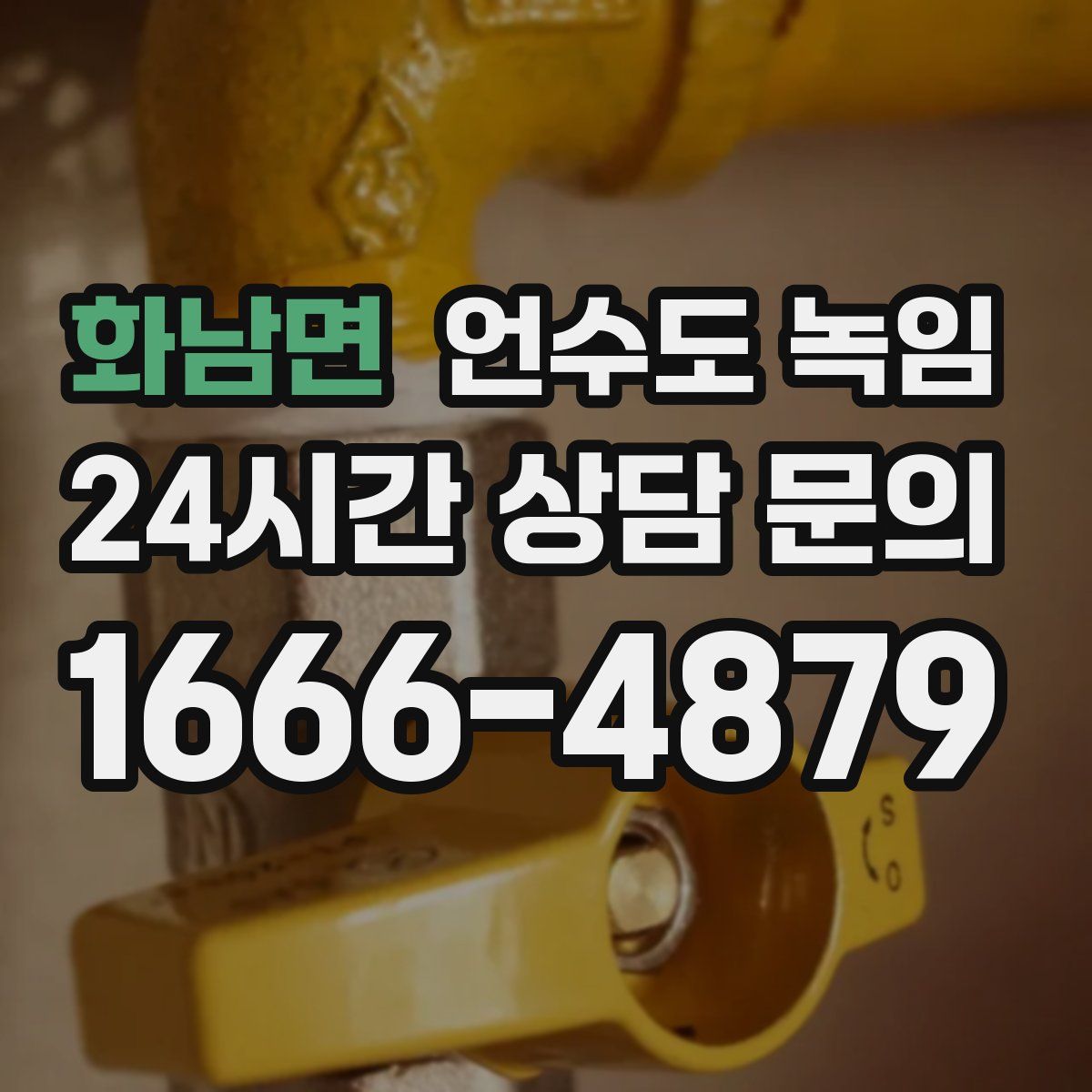 화남면 언수도 녹임