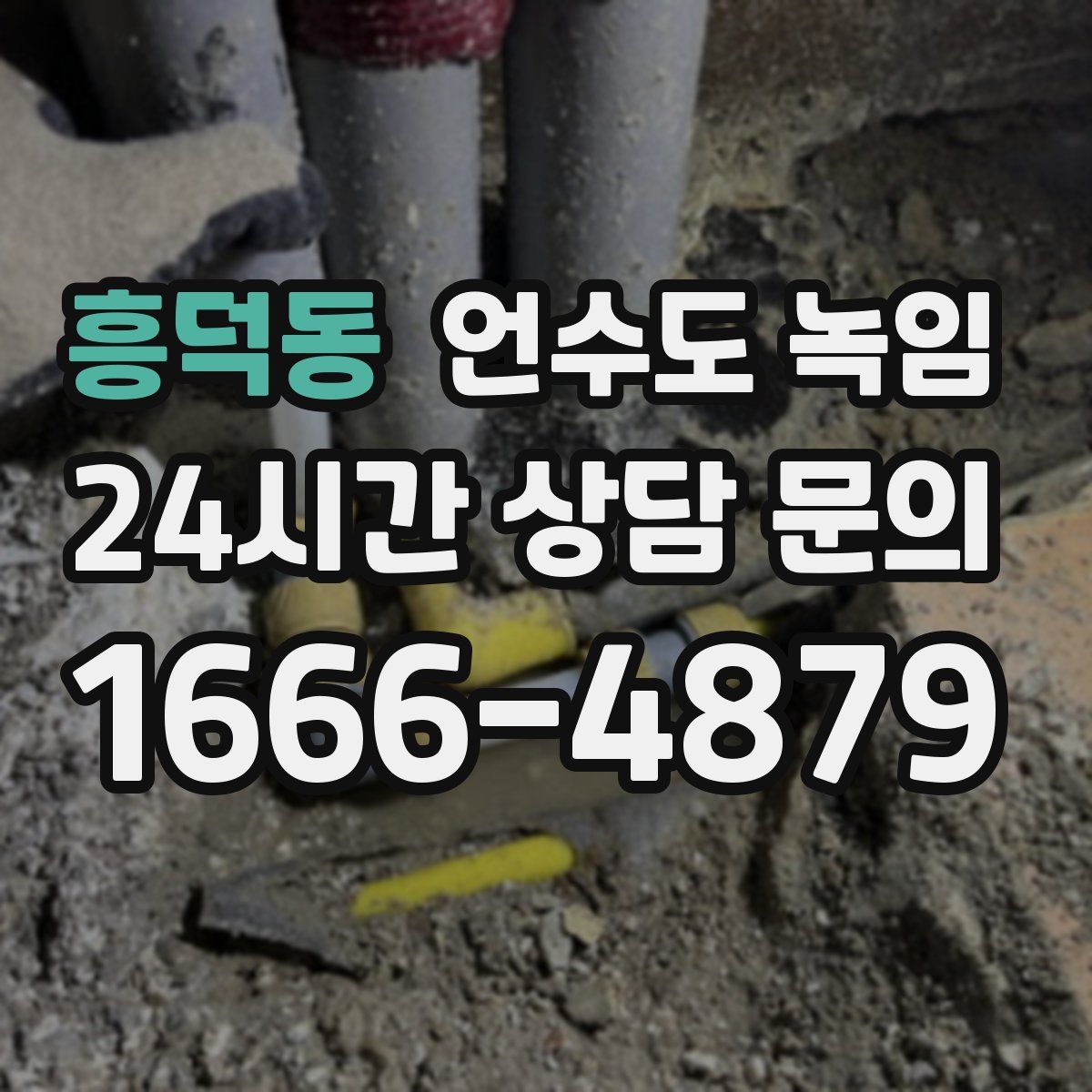 흥덕동 언수도 녹임