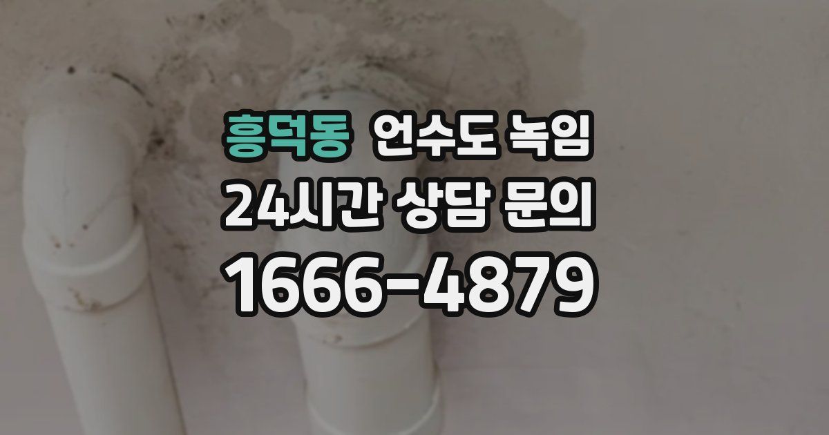 흥덕동 언수도 녹임