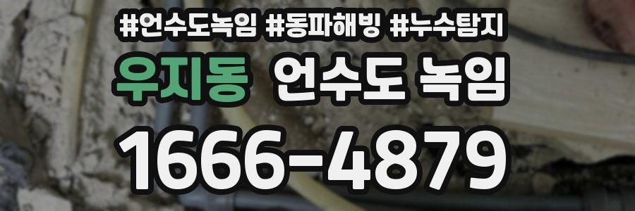 우지동 언수도 녹임