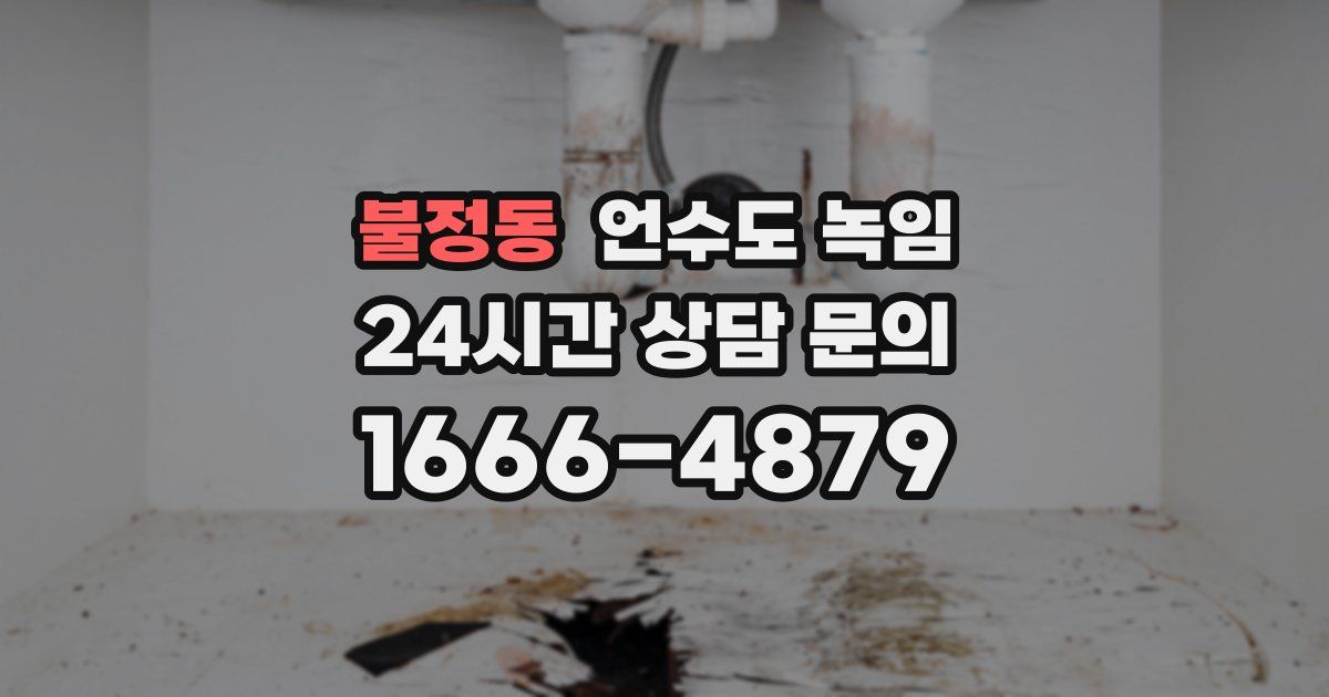 불정동 언수도 녹임