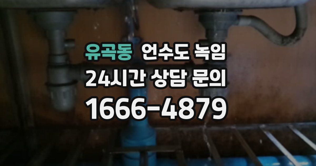 유곡동 언수도 녹임