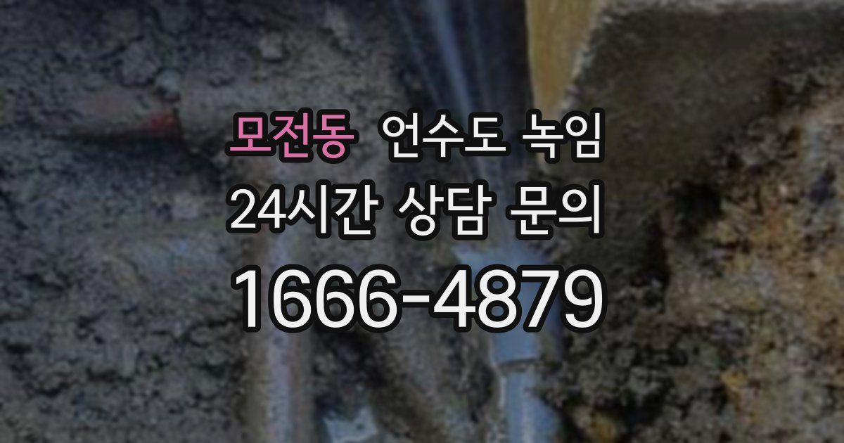 모전동 언수도 녹임