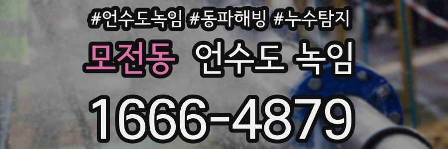 모전동 언수도 녹임