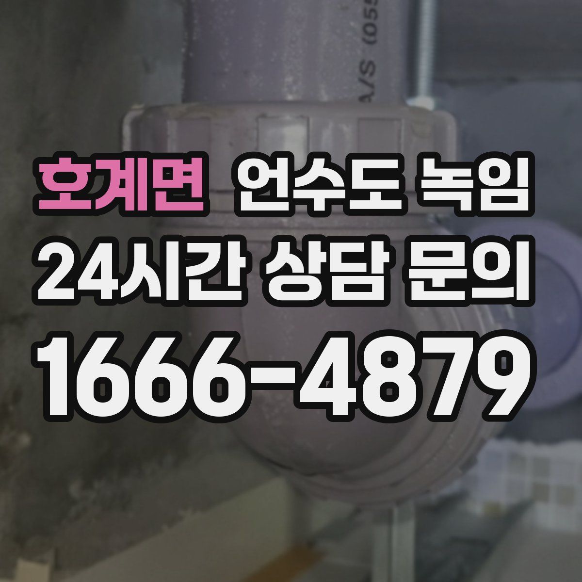 호계면 언수도 녹임