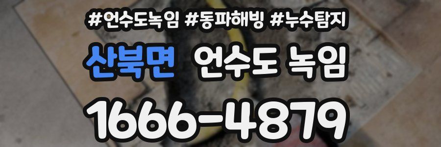 산북면 언수도 녹임