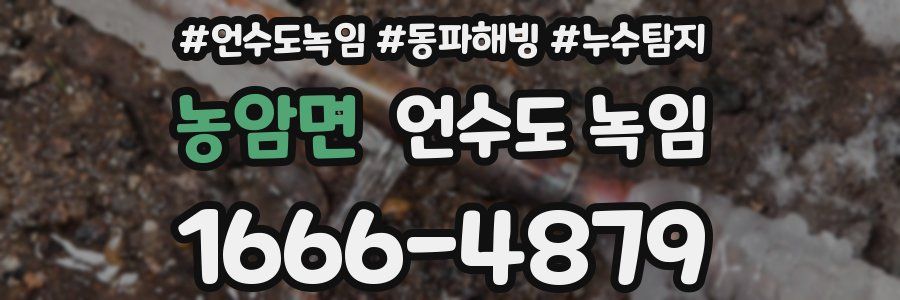 농암면 언수도 녹임