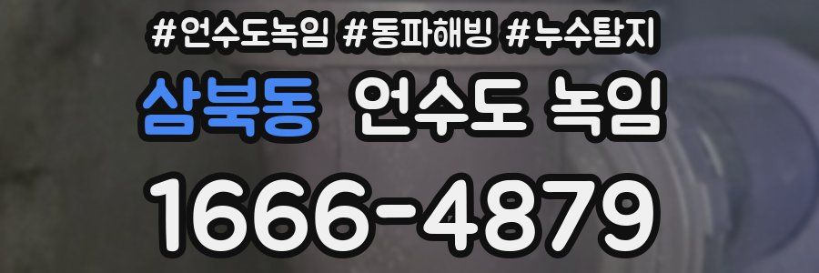 삼북동 언수도 녹임