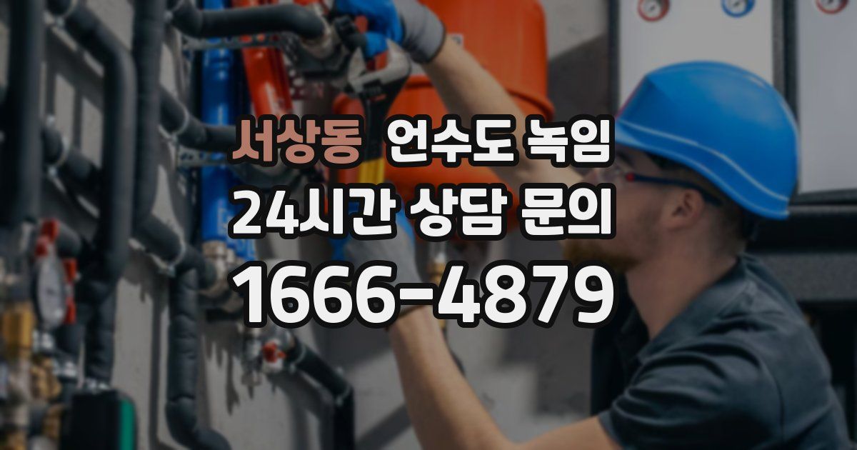 서상동 언수도 녹임