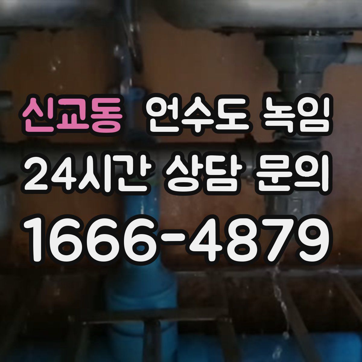 신교동 언수도 녹임