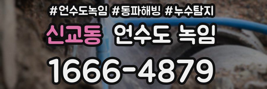 신교동 언수도 녹임
