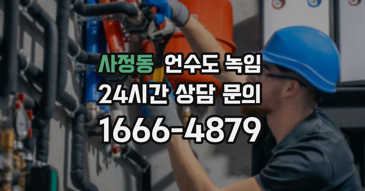 사정동 언수도 녹임