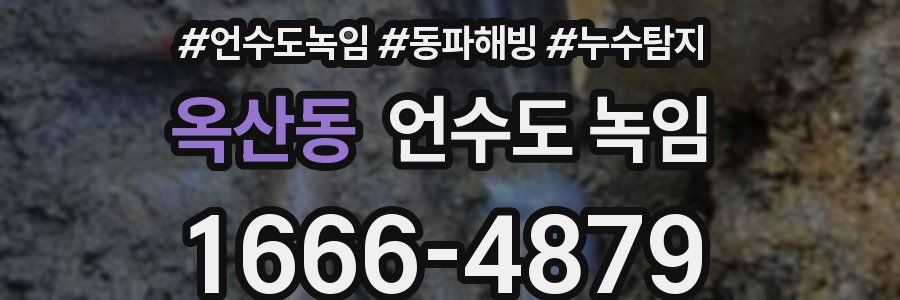 옥산동 언수도 녹임