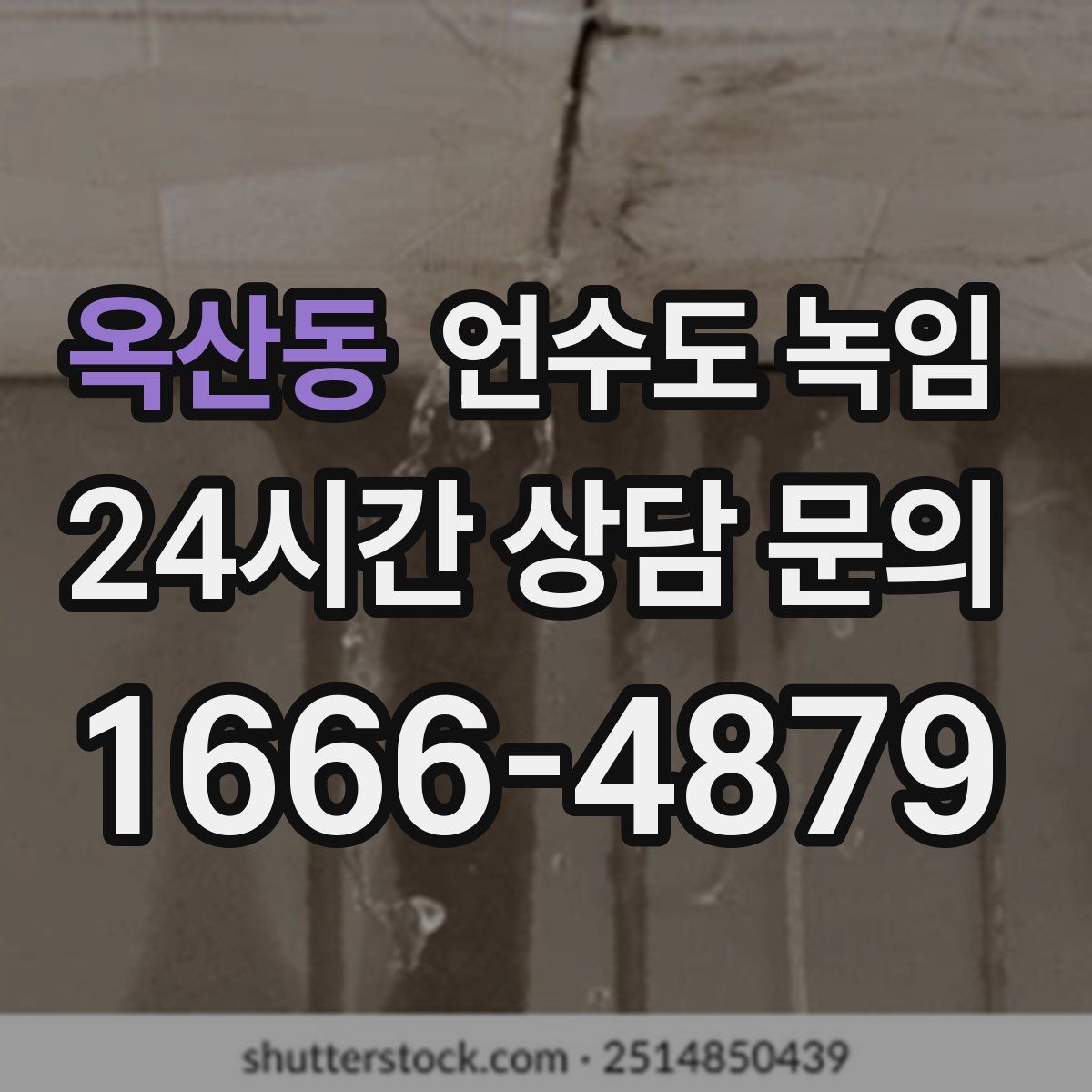 옥산동 언수도 녹임