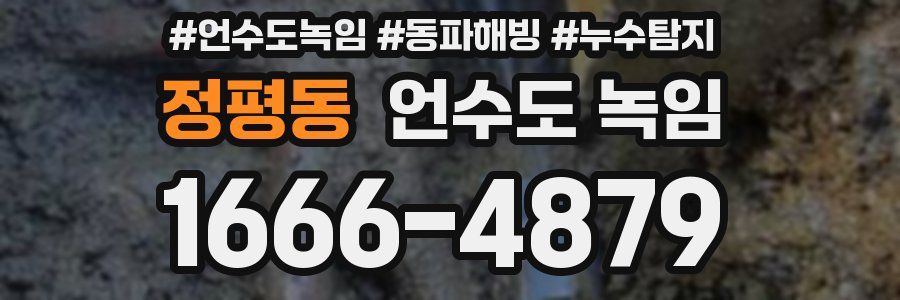 정평동 언수도 녹임