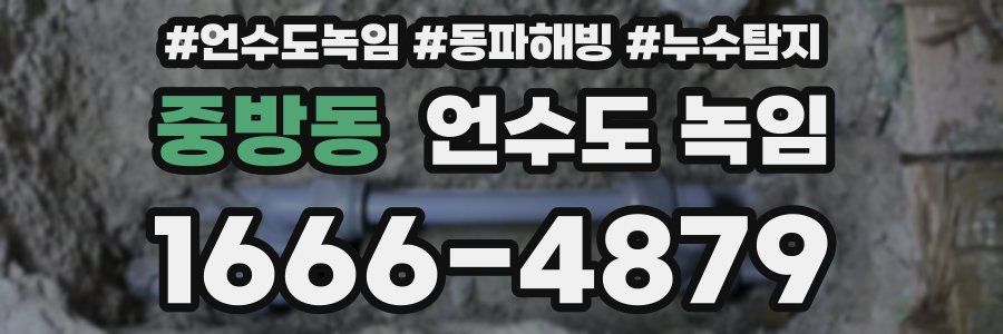 중방동 언수도 녹임