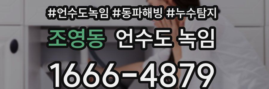 조영동 언수도 녹임