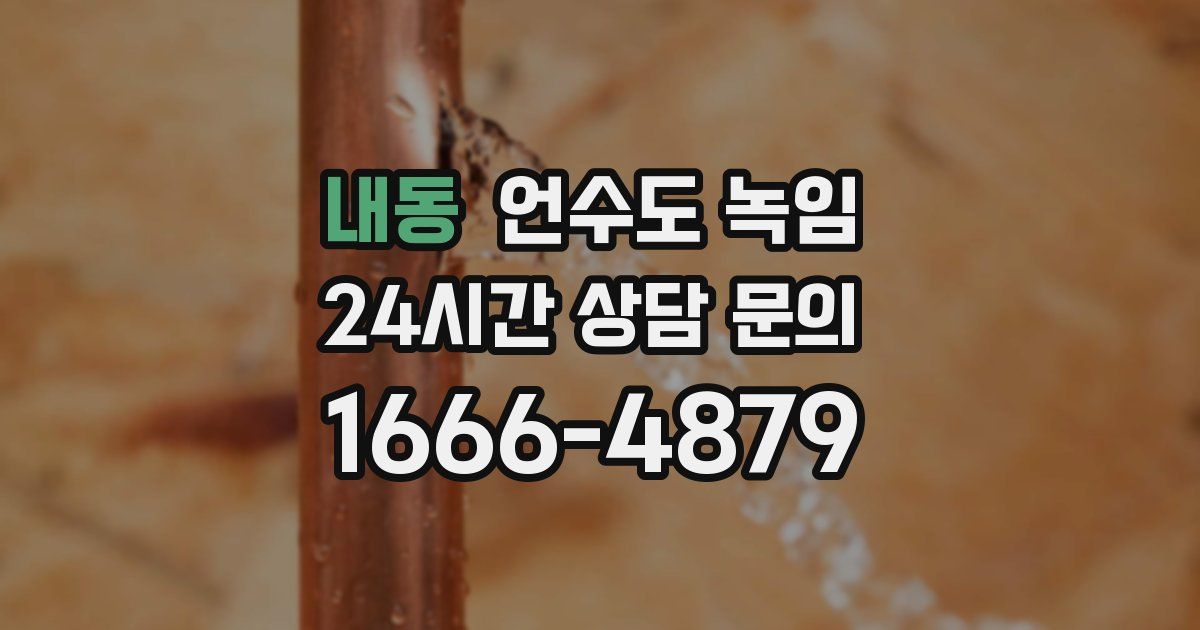 내동 언수도 녹임