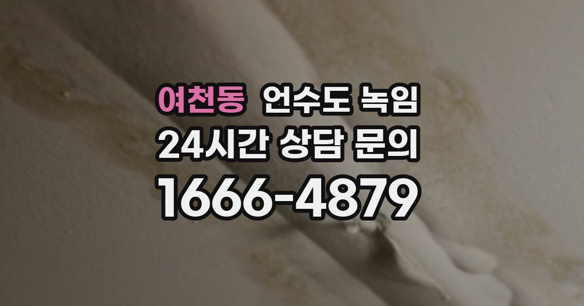 여천동 언수도 녹임