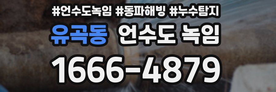 유곡동 언수도 녹임