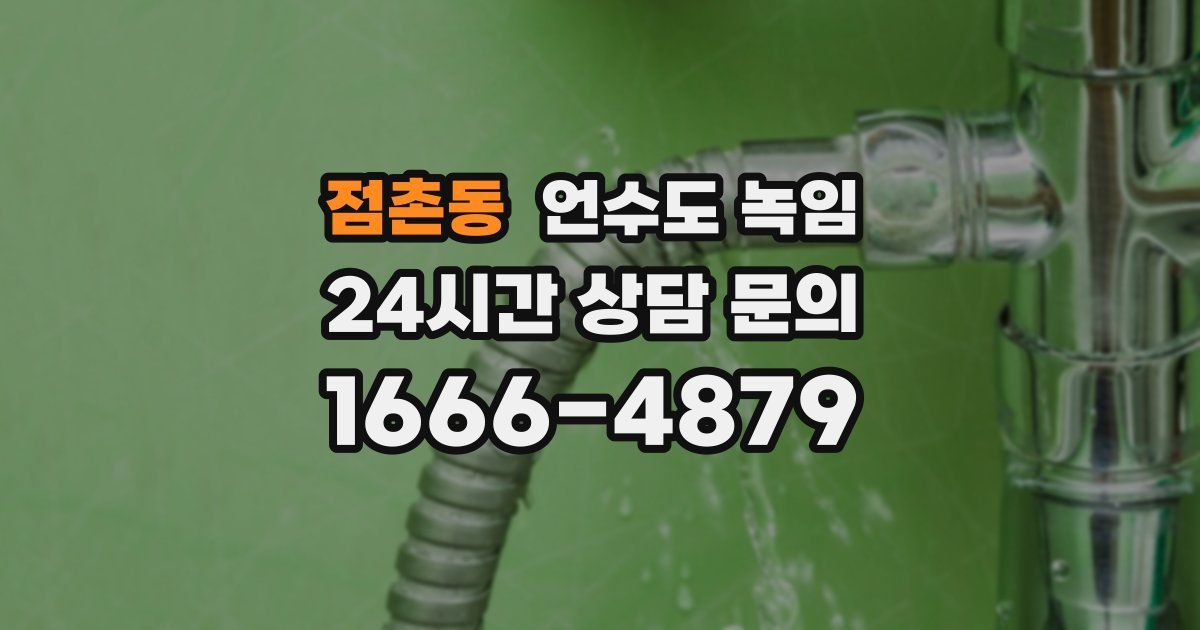 점촌동 언수도 녹임