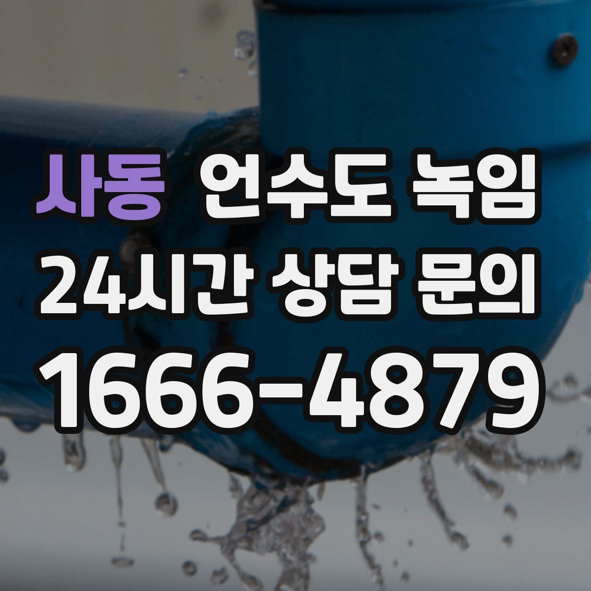 사동 언수도 녹임