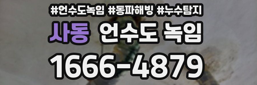 사동 언수도 녹임