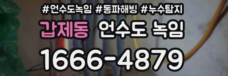 갑제동 언수도 녹임