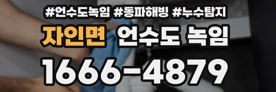 자인면 언수도 녹임