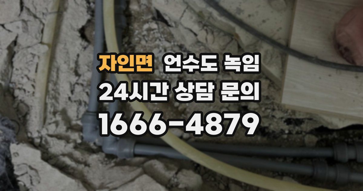 자인면 언수도 녹임