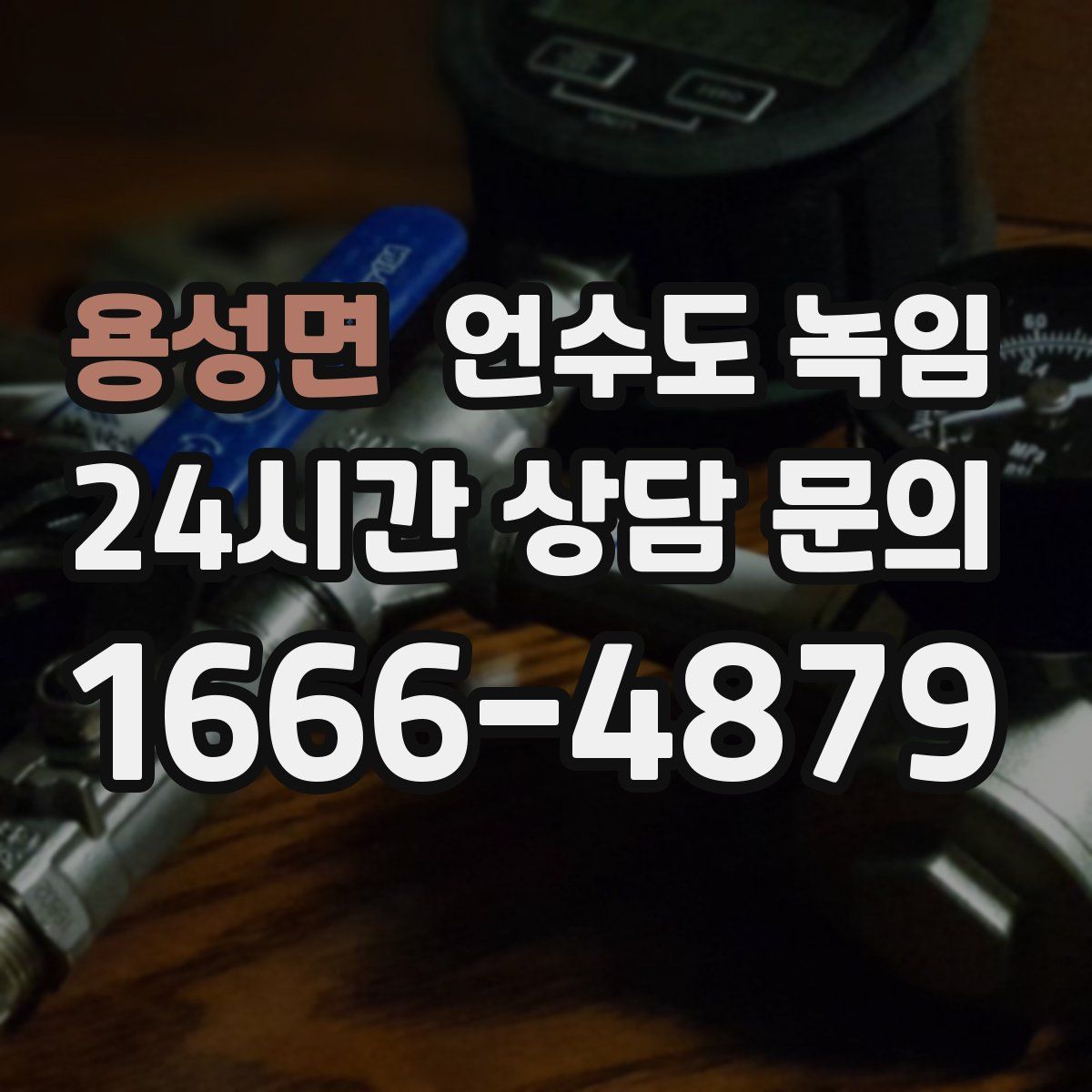 용성면 언수도 녹임