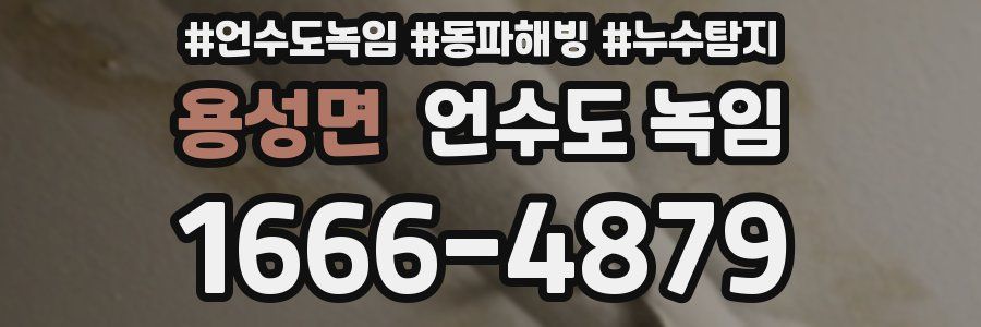 용성면 언수도 녹임