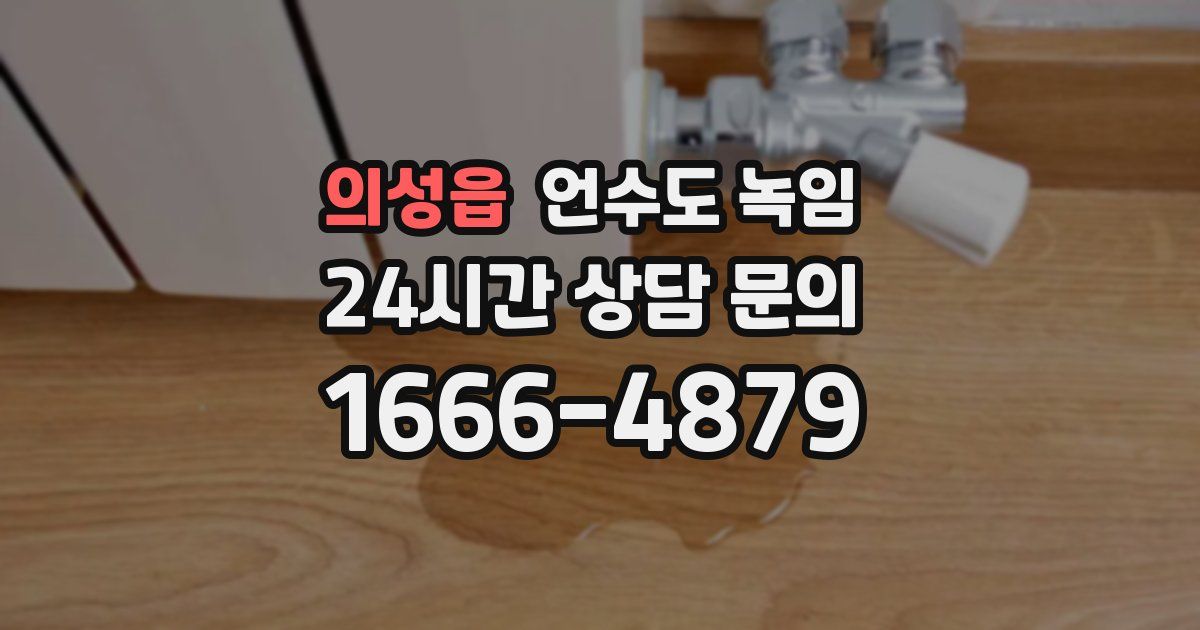 의성읍 언수도 녹임