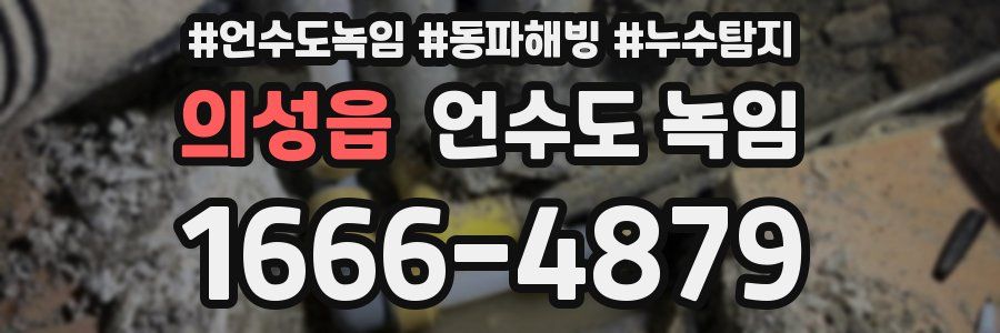 의성읍 언수도 녹임