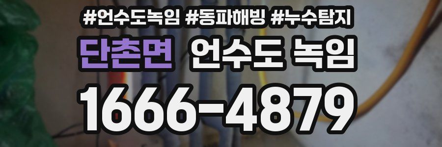 단촌면 언수도 녹임