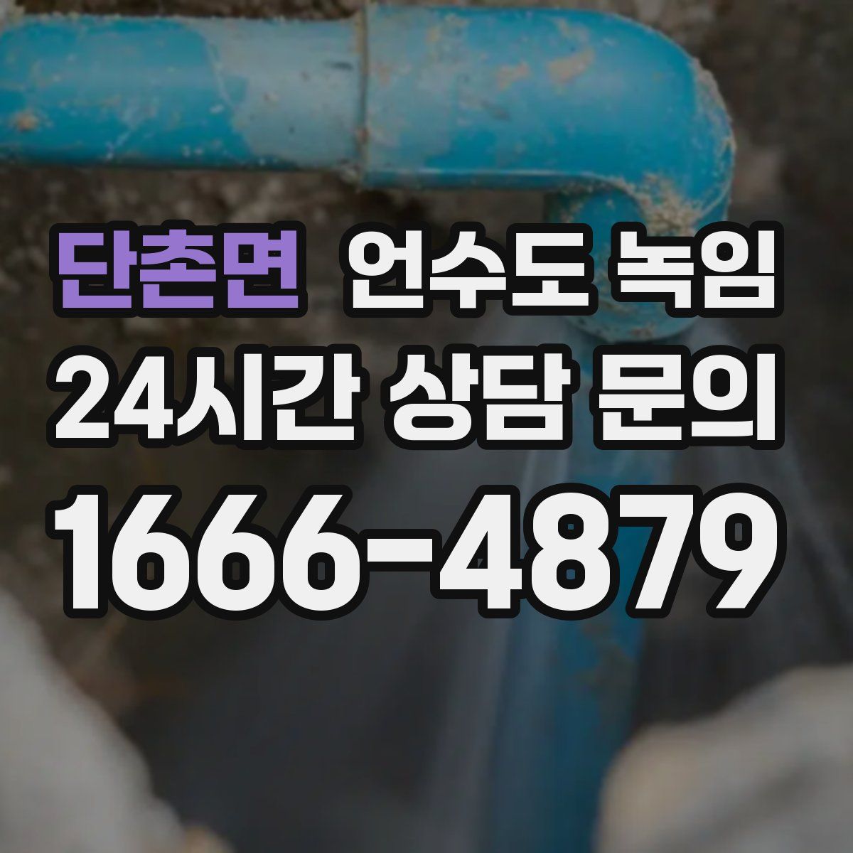 단촌면 언수도 녹임