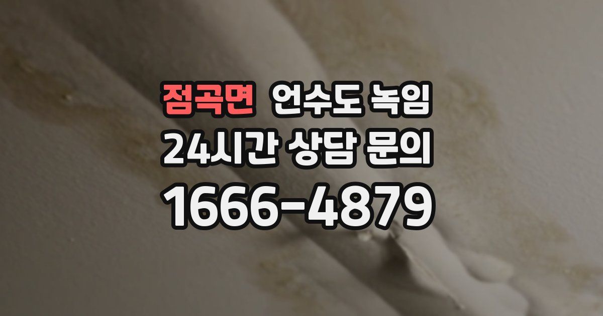 점곡면 언수도 녹임