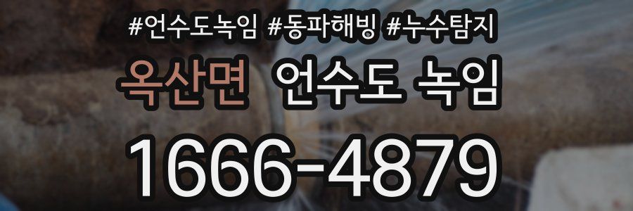 옥산면 언수도 녹임