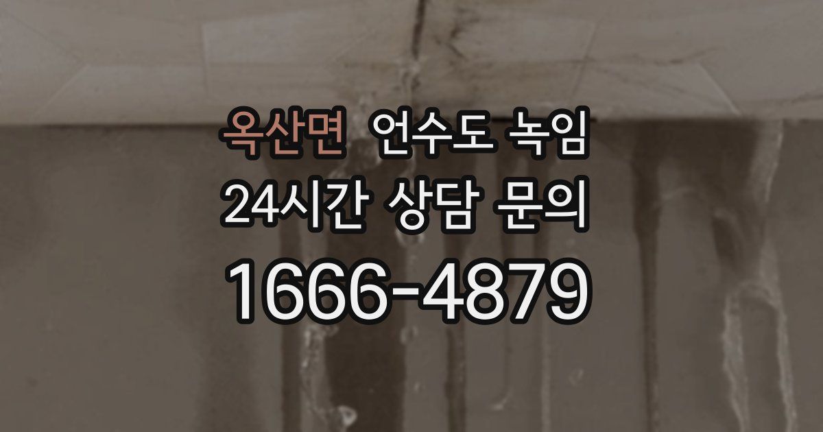 옥산면 언수도 녹임