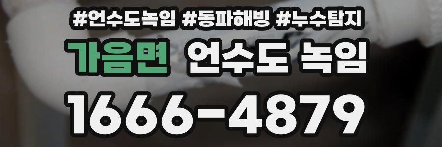 가음면 언수도 녹임