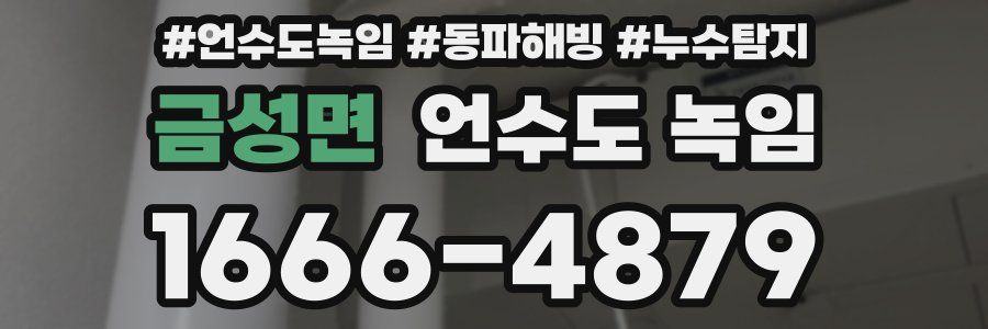 금성면 언수도 녹임