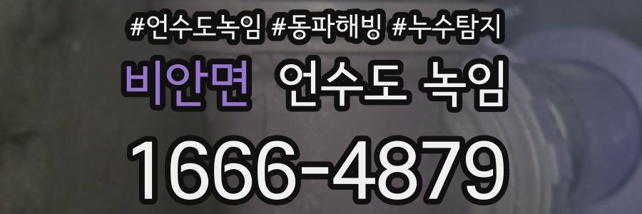 비안면 언수도 녹임